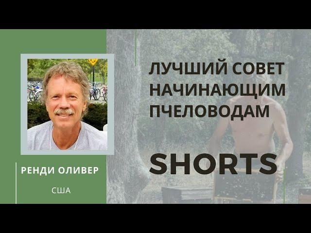 Лучший совет начинающим пчеловодам от Ренди Оливера (США) #shorts