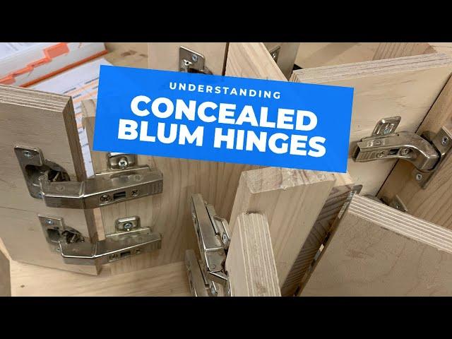 All the main Blum hinge types explained!