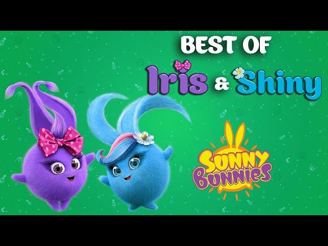 Best of Iris & Shiny | Celebrating International Women's Month  - Sunny Bunnies | Cartoons For Kids