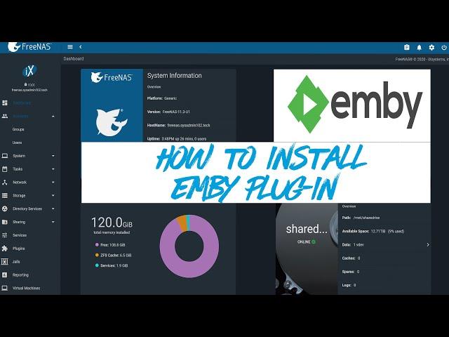 FreeNAS 11.3 - How to Install #Emby Plugin on  #FreeNAS