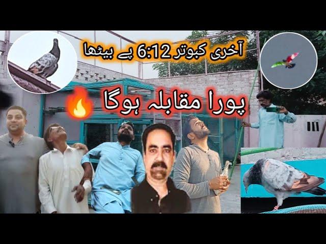 aj kabootar sham ko baitha  | Ab maza ayega shok ka 