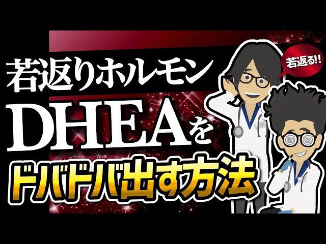 【話題作】「若返りホルモンDHEAをドバドバ出す方法」を世界一わかりやすく要約してみた【本要約】