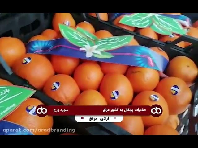 صادرات پرتقال به کشور عراق