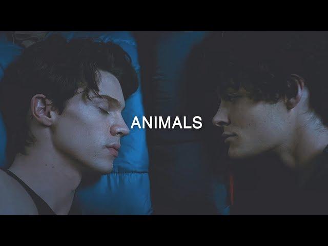 Cyrus  Harlan [BL] ► Wolf Pack | Animals | MV