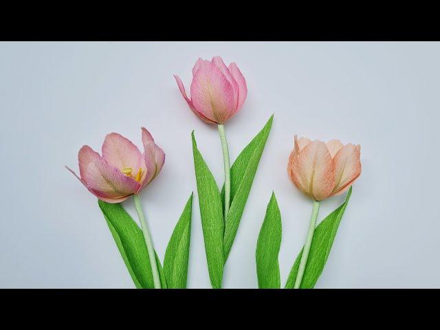 How to make Tulip paper flower #2 / Paper Flower / Góc nhỏ Handmade