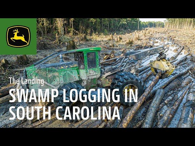 Swamp Logging in South Carolina | John Deere Forestry
