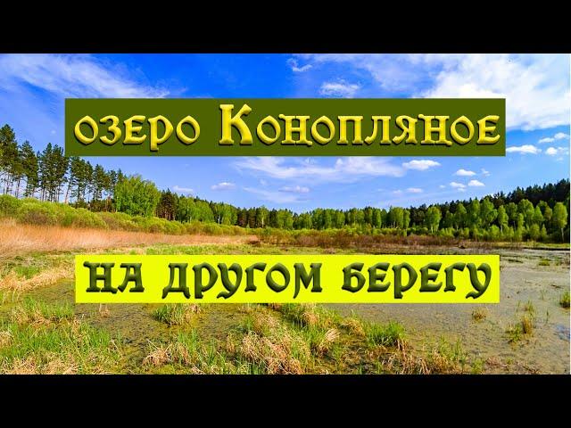 204.Окунево.Озеро Конопляное с противоположного берега. На озере  изменения. Что значит "внутри".