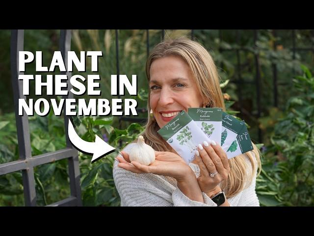 5 Vegetables to Start in November (Warm, Mild, & Cold Climates)