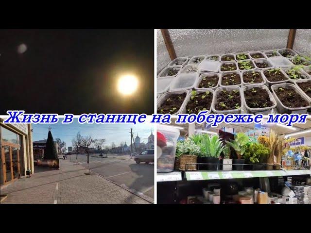 ПЕРЕЕХАЛИ НА ЮГ,СРОЧНО СПАСАЮ ПОКА НЕ ПОЗДНО РАССАДУ, ФИКС ПРАЙС, ГРИБНОЙ СУПИК