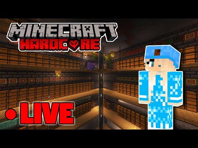 Hardcore Minecraft LIVE - Chest Storage Room Work (17k + day world)