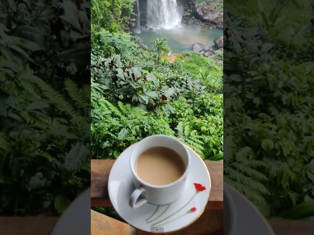 #aberdeenfalls #shorts #travelnotes