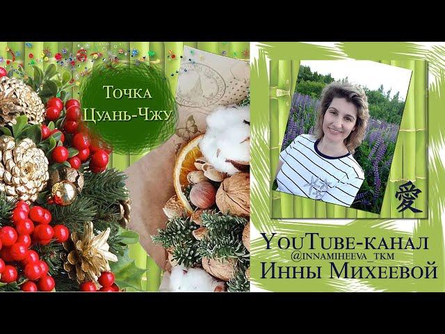 Точка акупунктуры Цуань-Чжу