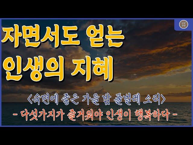 인생 역전하는 법 | 당신의 상처를 기회로 만드는 지혜 | 인생 조언 #인생명언 #지혜 #좋은글 #인생한줄