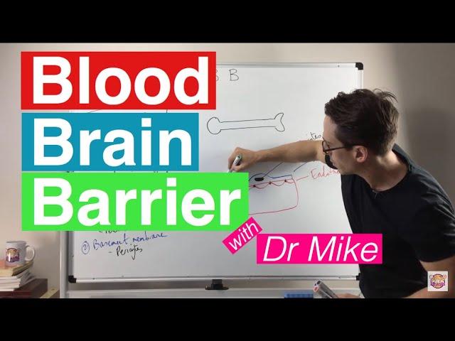 Blood Brain Barrier