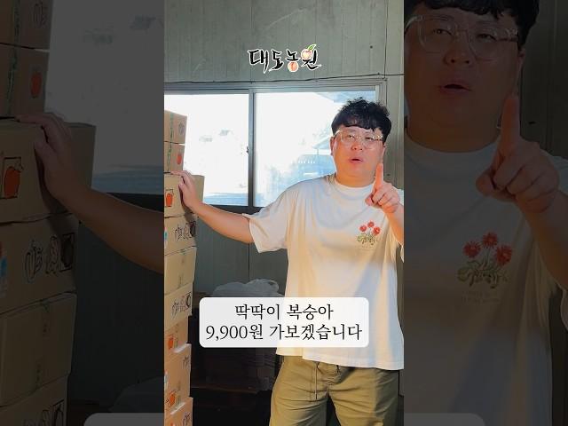 딱딱이 복숭아 9,900원 시원하게 가보겠습니다!!
