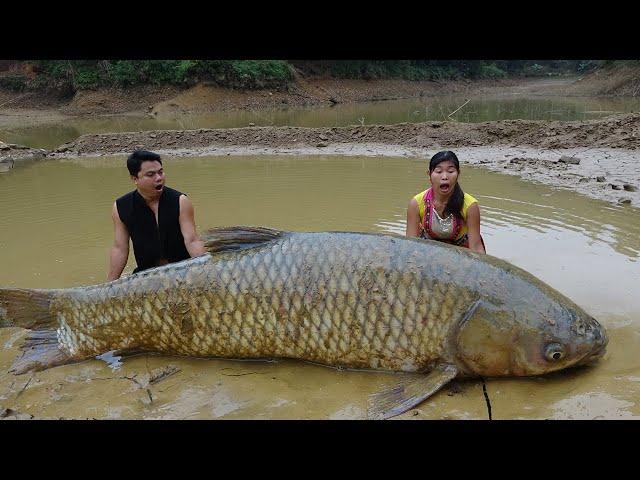 FULL VIDEO: Fishing Video, Primitive Life, Survival Skills Catch Big Fish