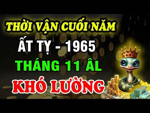 Tử Vi Tháng 11 ÂL Tuổi Ất Tỵ 1965: Cát Hung Khó lường, Nghe kỹ đón lành tránh dữ