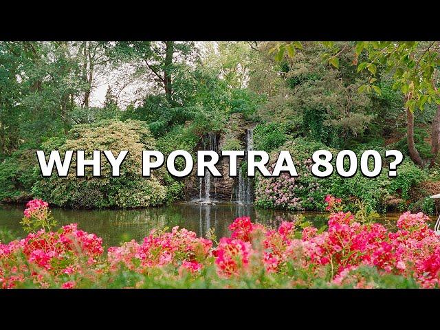 Why should you shoot PORTRA 800? // Leica M6