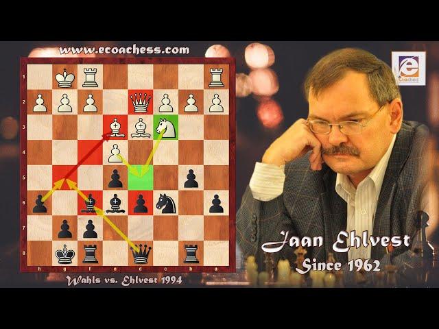 Greatest Chess Positional Play! Wahls vs. Ehlvest New York Open 1994