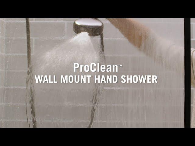 ProClean™ Hand Shower