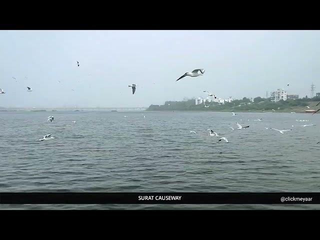 CLICKMEYAAR | SURAT CAUSEWAY | SURAT EXPLORER