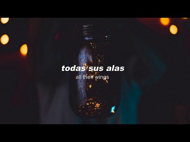 AG - Shine A Light (feat. Connie Lim) Sub Español/Lyrics