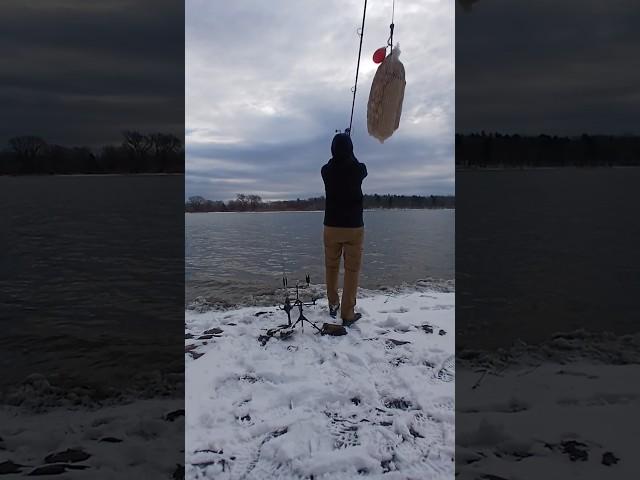 Winter CARP fishing  (DEC. 2024)