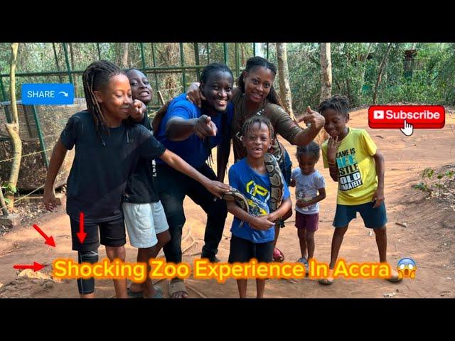 I Visited A Zoo In Accra, Ghana....What Happened Next Shocked Me! | Juss Vlog | Ghana Vlog