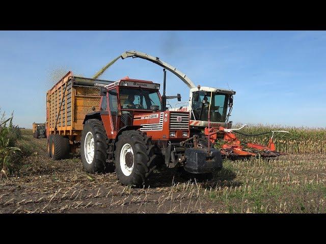 Folbert aan het mais hakselen met Claas, Fiatagri, Fendt Favorit & New Holland - deel 2 (2018)