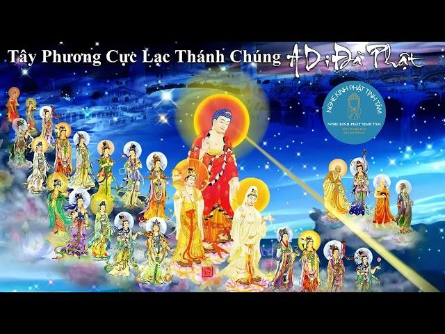 BÀI 96: CHUYỆN CÓ THẬT 100% VỀ ĐỜI SỐNG Ở TÂY PHƯƠNG CỰC LẠC NHƯ THẾ NÀO - NÊN NGHE RẤT HAY