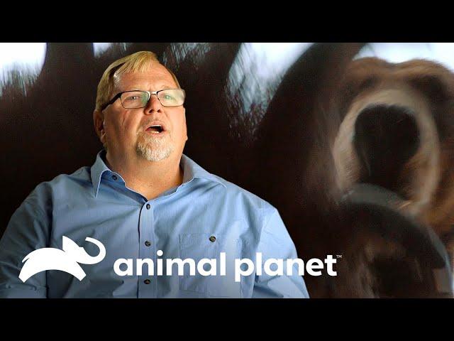 3 Aterradores momentos en los que pensaron "Así voy a morir" | Solo y en peligro | Animal Planet