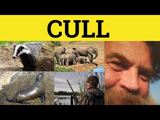  Cull Meaning - Cull Examples - Culled Defined - Cull Definition - GRE 3500 Vocabulary - Cull