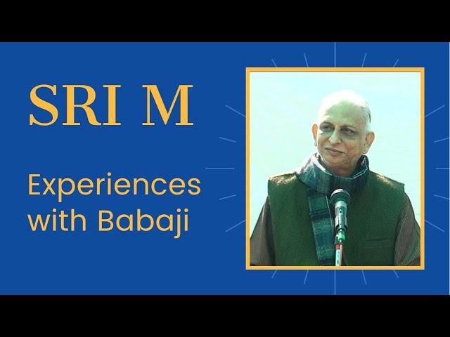 Experiences with Maheshwarnath Babaji (1) | Sri M