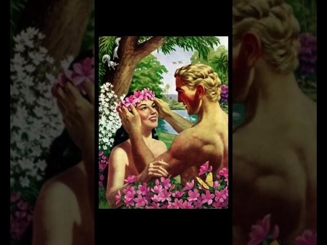 God Created Woman from Man Rib | Creation of Woman |   #shorts