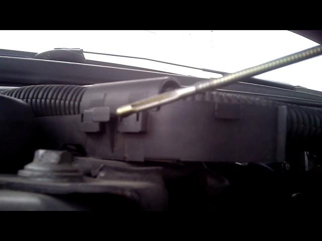 Mobil 1 New Life 0w40 con 1.000 kms | Fiat MW 1.9 JTD