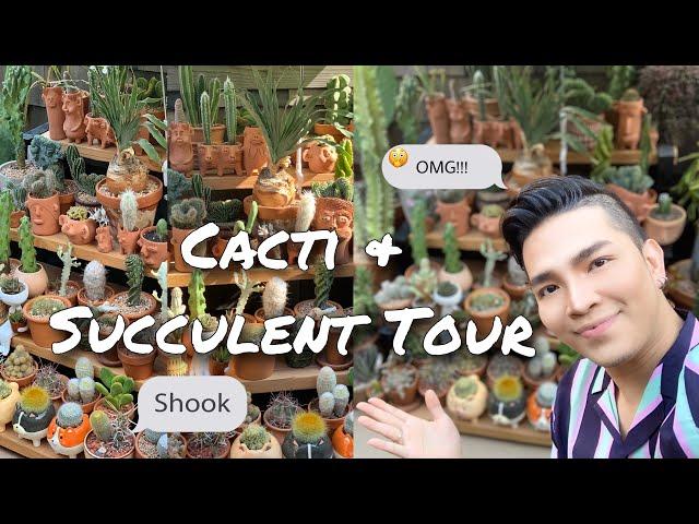 Cacti & Succulent Tour 2020 | Cute Planters | Rare Cacti Collection