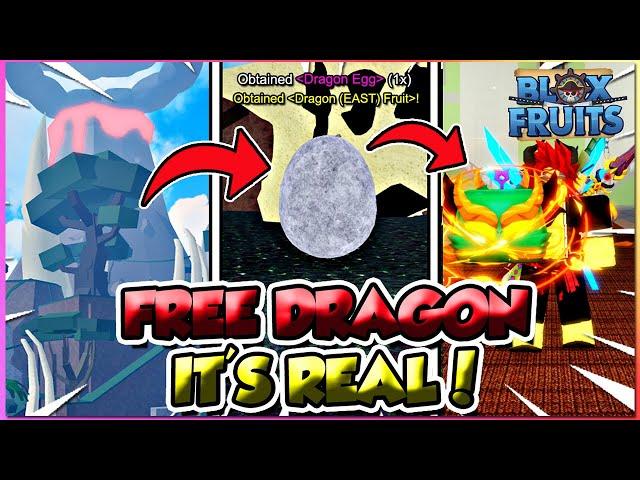 How To Get *FREE* Dragon Fruit Rework Fast In Blox Fruits Update 24 (REAL NOT CLICKBAIT!)