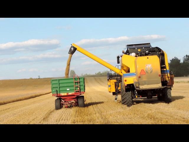 | New Holland TC5.90 | Nowy Nabytek Żniwa 2019  Jęczmień Ozimy Smerfy w akcji 