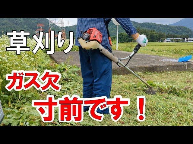 071 【実家の蕎麦畑を草刈りします】　燃料ギリギリで予定の草刈りが終了しました