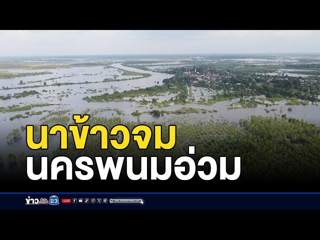 น้ำหนุนท่วมบ้าน นาข้าวจมเกือบ 1 แสนไร่ l สดข่าวเที่ยง | 20 ก.ย. 67