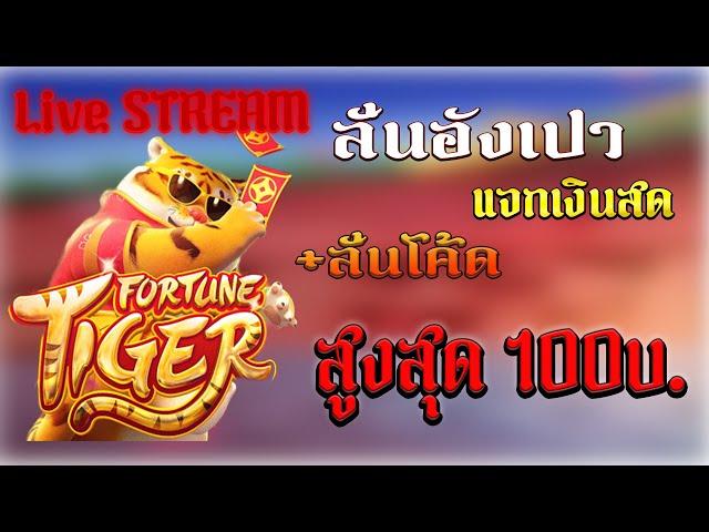 ไลฟ์สดสล็อต | SLOT PG | สล็อตไลฟ์สด | สล็อตสด | แอดก๊าซสล็อต