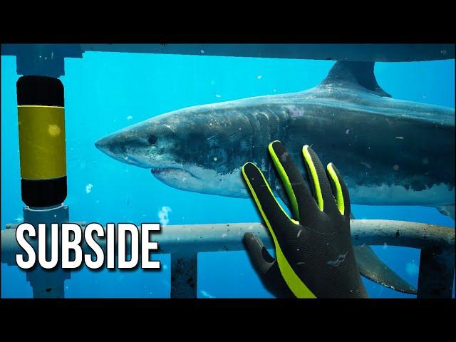 Subside | They Unleashed The Sharks And I Regret Swimming Here