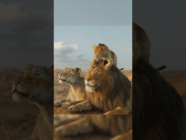 интересная деталь король лев