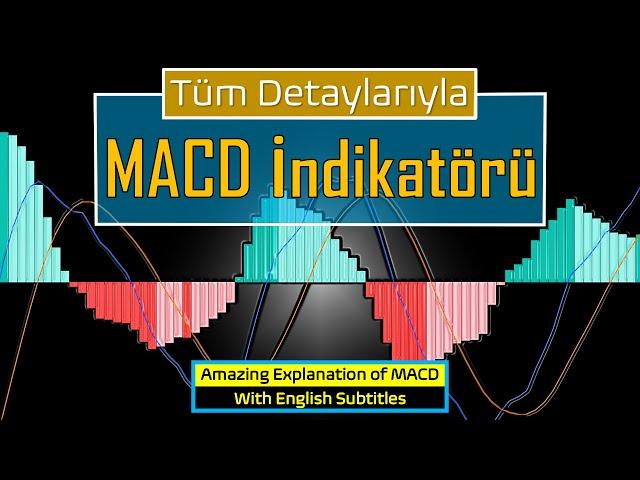 How to use the MACD indicator? MACD indicator explained, MACD indicator settings, MACD strategy...