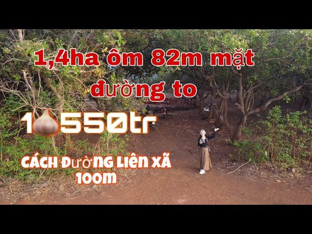 1tỷ550tr lô rẫy 1,4ha khu dân cư. Cách QL14 3km