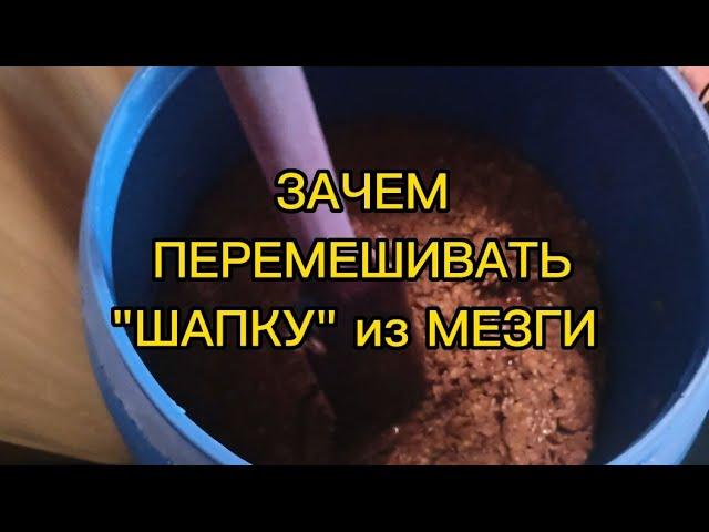 ЗАЧЕМ ПЕРЕМЕШИВАТЬ "ШАПКУ" из МЕЗГИ?