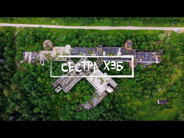 СЕСТРА ХЗБ/В глуши леса... | Обитатели руин