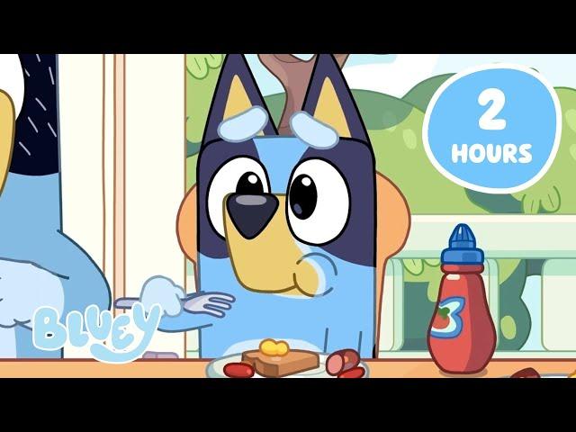  LIVE: Unwind with the Heelers  | Wholesome Family Moments with Bluey | Bluey