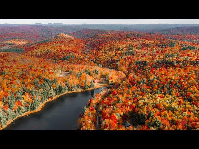 Peak Fall Foliage in New England (Experience Autumn)