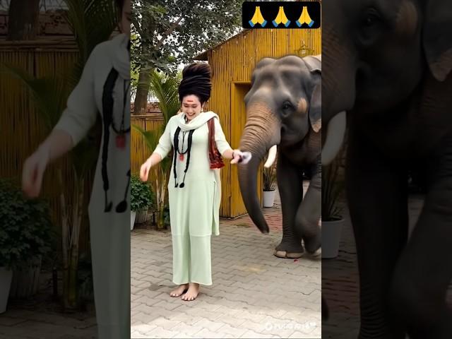 aghori baba chanchal nath alakh Niranjan  #love#music #trending#song #short#shorts#viral#youtube